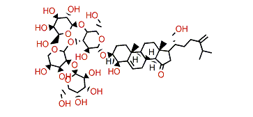 Mycaloside H